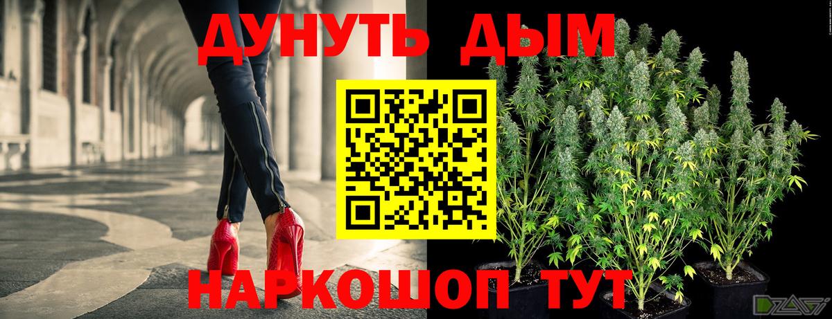Канабис Ganja Сунжа